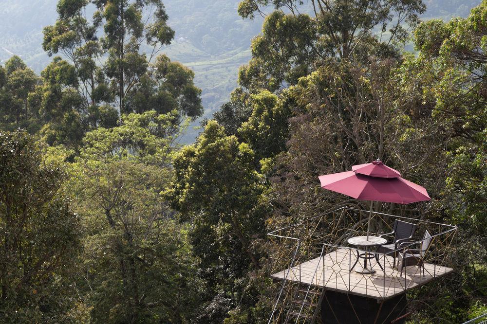 Munnar - Terrace Greens, A Sterling Holidays Resort Exterior foto